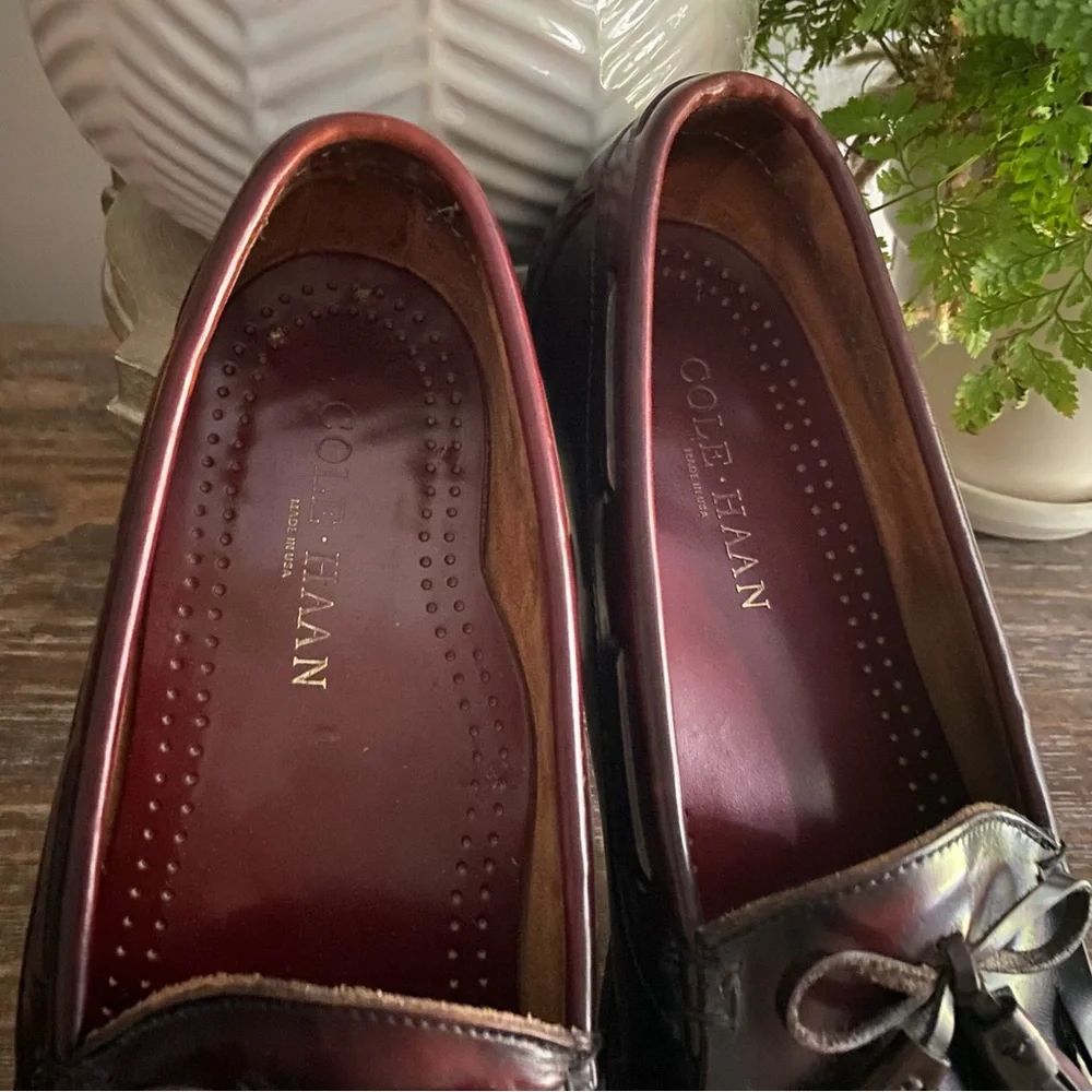 Cole Haan Mens 10D Pinch Tassel Leather Loafer Burgundy Business‎ Casual Shoes